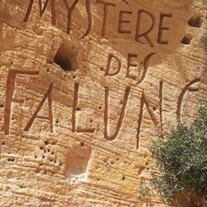 Le Mystère des Faluns