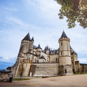 La Vraie Vie de Château
