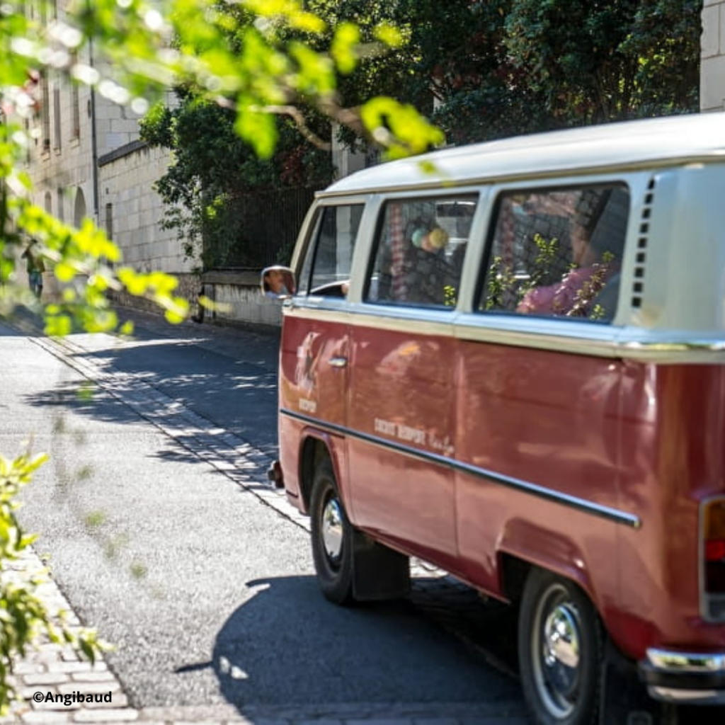 Loire Vintage Discovery