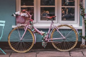 Anjou Vélo Vintage