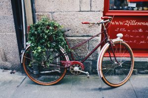 Anjou Vélo Vintage