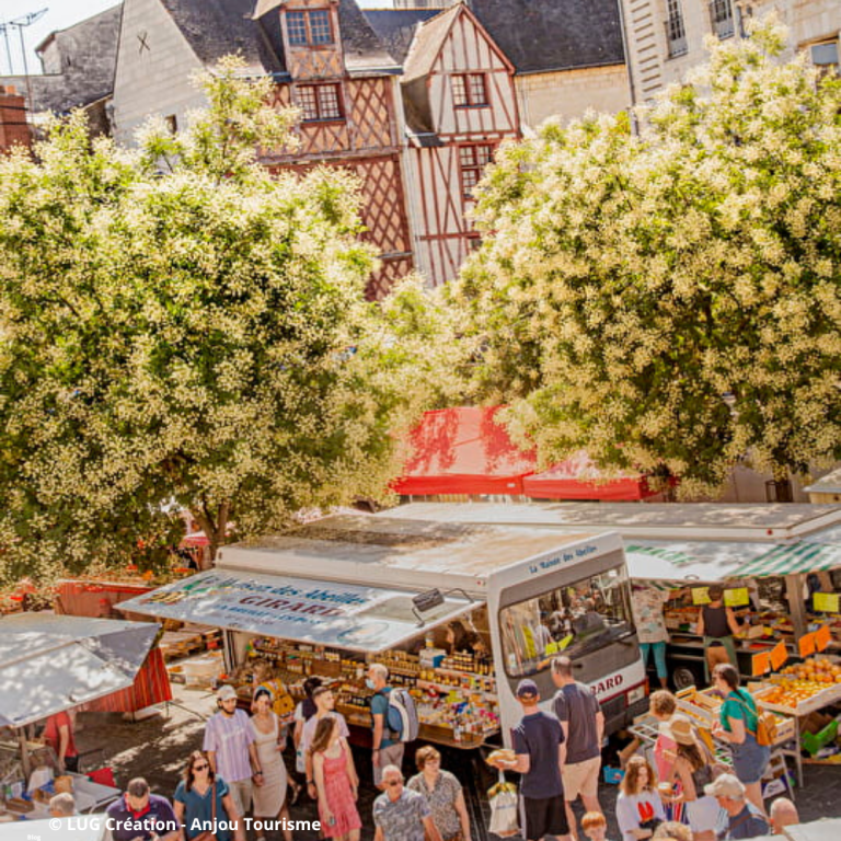 Le printemps à Saumur