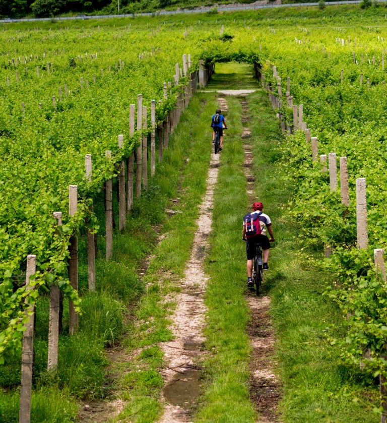 Le printemps à Saumur