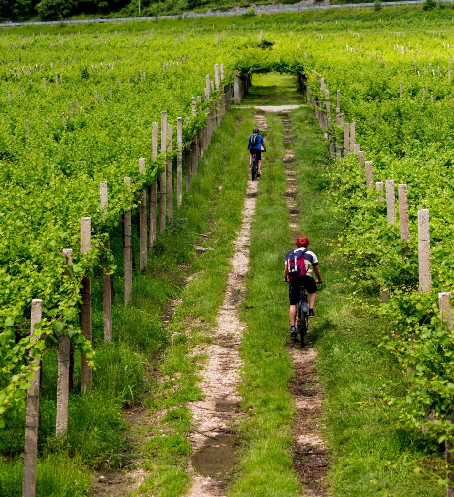 Le printemps à Saumur
